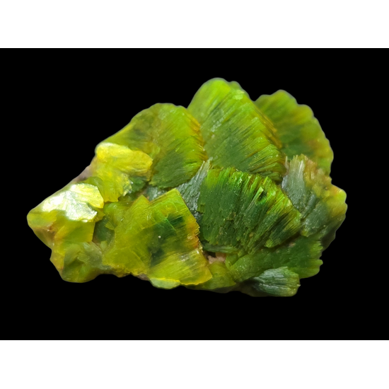 Autunite