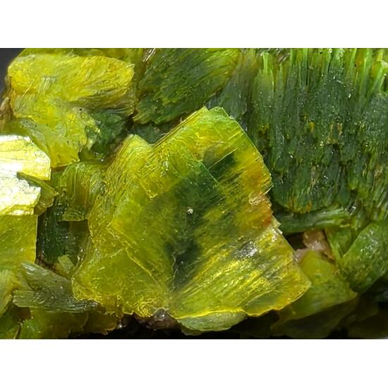 Autunite