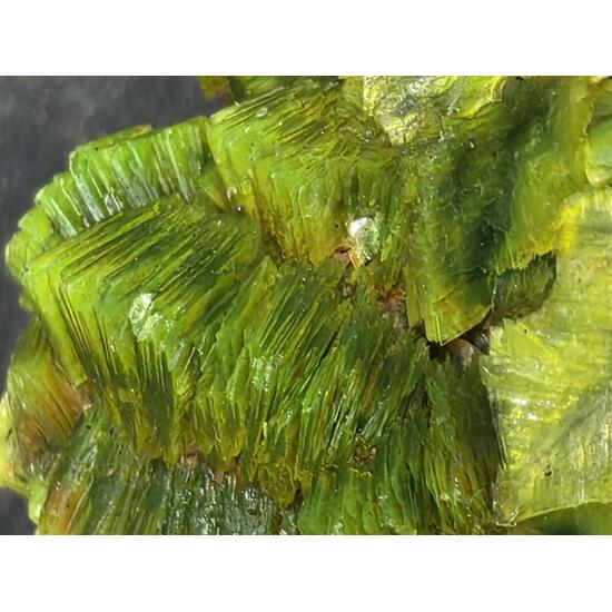 Autunite