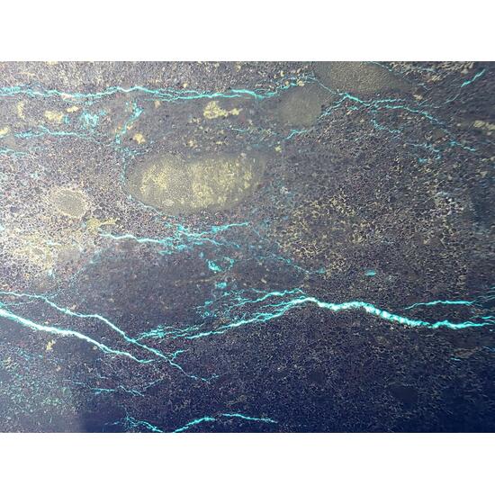 Andersonite With Uraninite & Pyrite In Sandstone