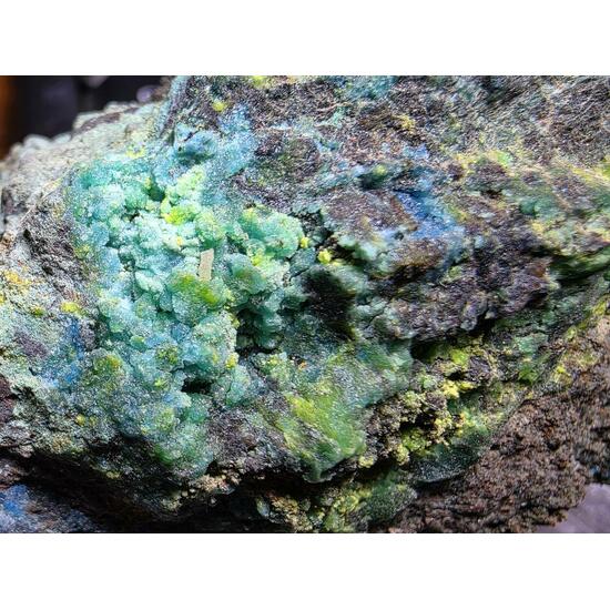Johannite With Chalcanthite On Uraninite