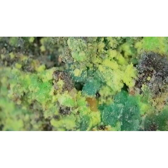 Johannite With Chalcanthite On Uraninite