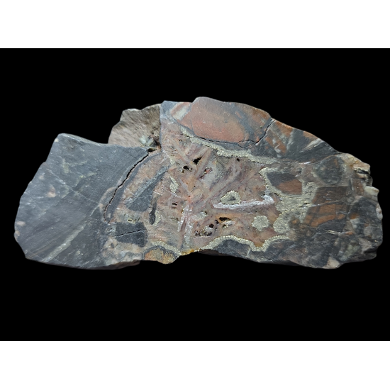 Uraninite With Pyrite Hematite & Quartz