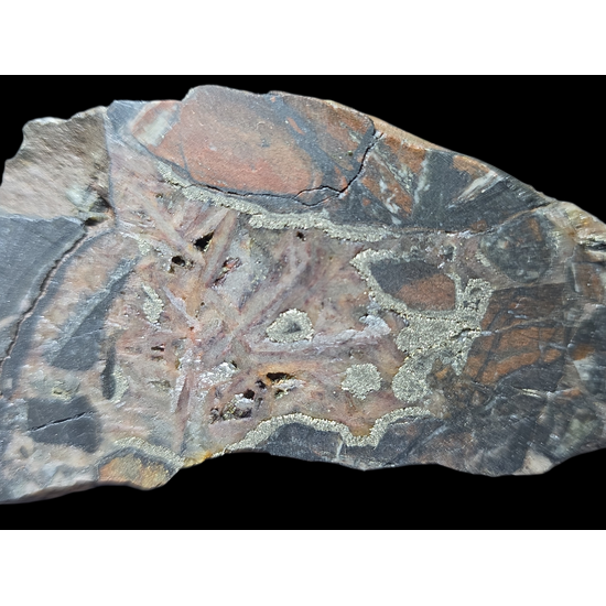 Uraninite With Pyrite Hematite & Quartz