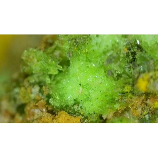 Johannite With Zippeite On Uraninite