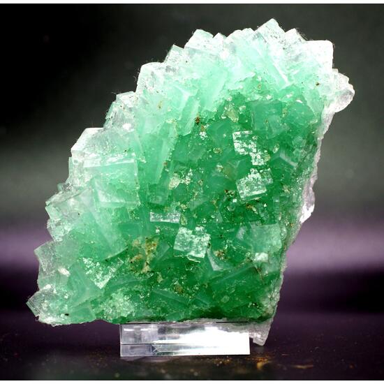 Halite & Atacamite