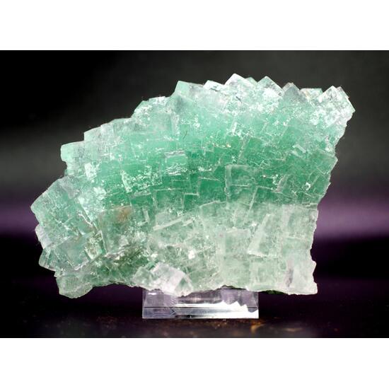 Halite & Atacamite