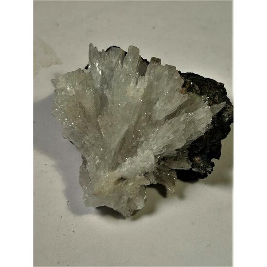 Celestine & Manganite