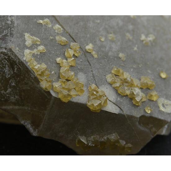 Scheelite On Smoky Quartz