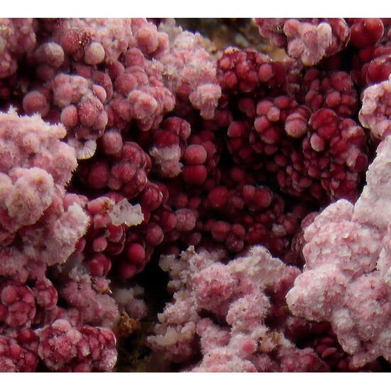 Erythrite On Skutterudite