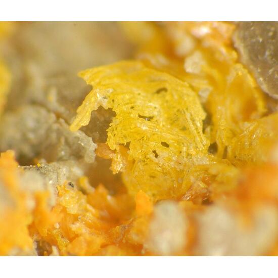 Uzonite & Alacránite