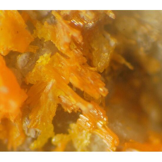 Uzonite & Alacránite