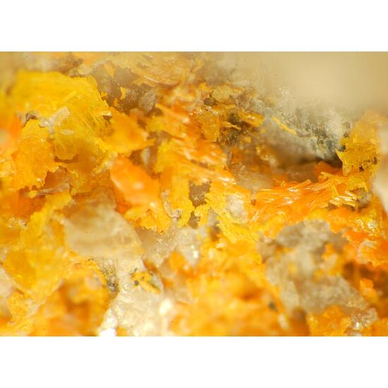 Uzonite & Alacránite