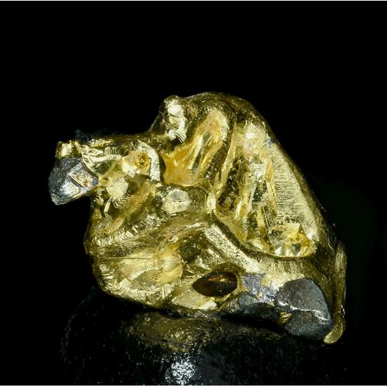 Altaite On Gold