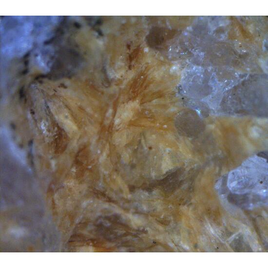 Ganophyllite