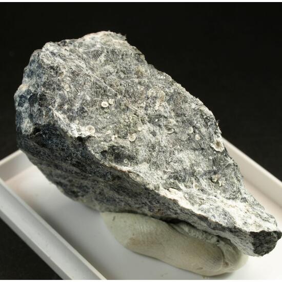 Pokrovskite & Pyroaurite