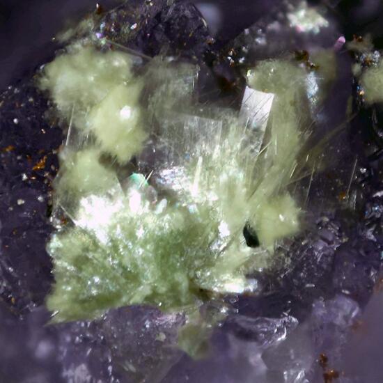 Carlhintzeite & Creedite