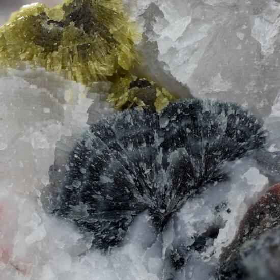 Pumpellyite-(Fe) & Clinozoisite