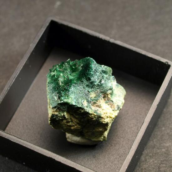 Cuprosklodowskite On Metatorbernite