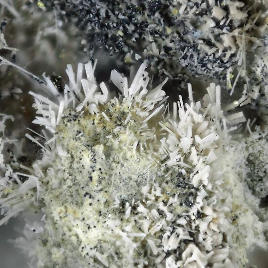 Pseudocotunnite & Bismuthinite