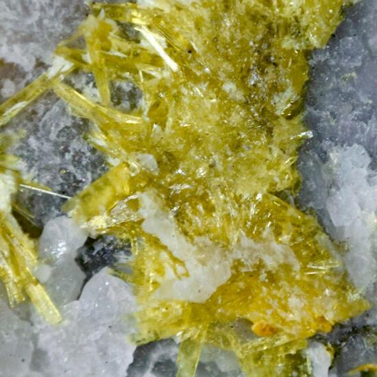 Uranosphaerite & Uranophane