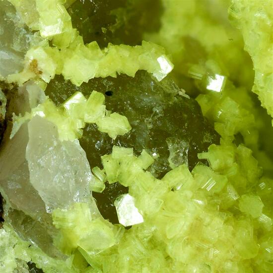 Autunite