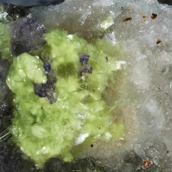 Schubnelite & Carlhintzeite