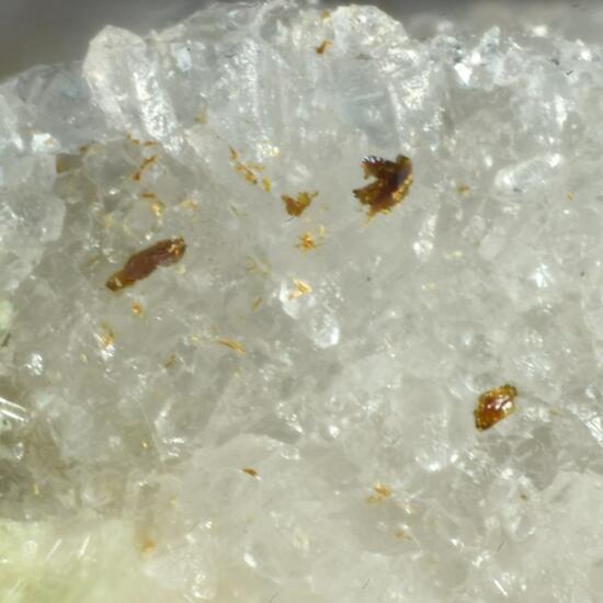 Schubnelite & Carlhintzeite