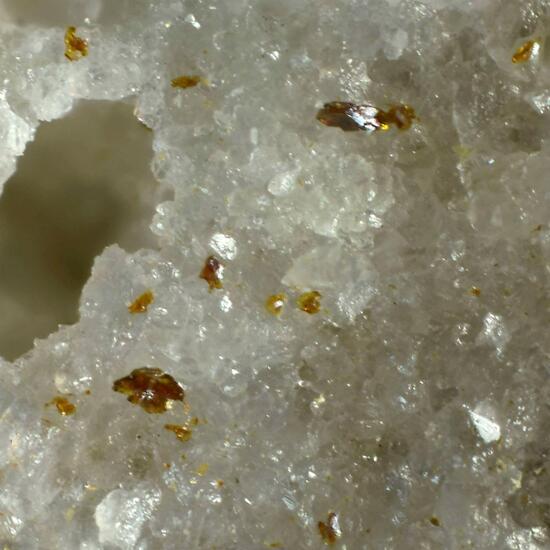 Schubnelite & Carlhintzeite