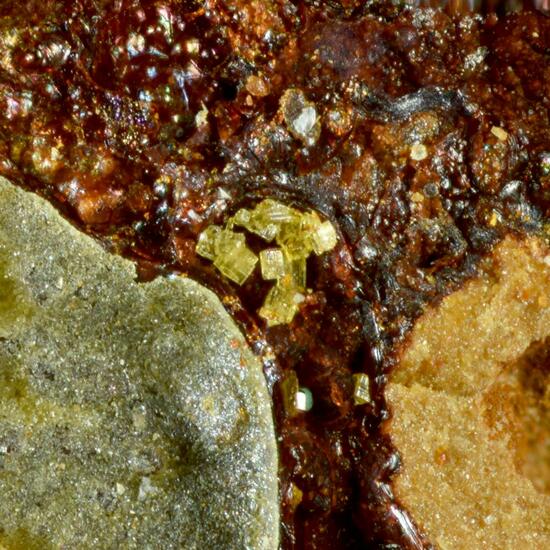 Thalliumpharmacosiderite