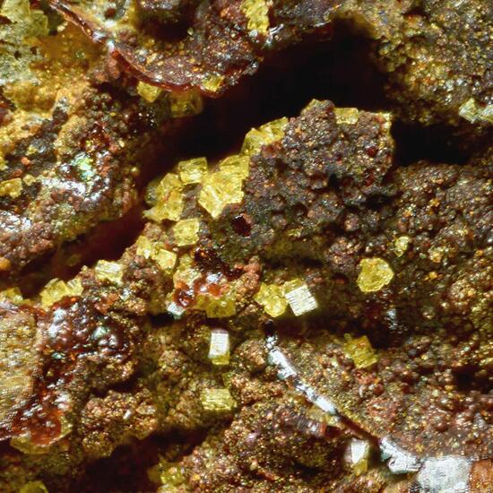 Thalliumpharmacosiderite