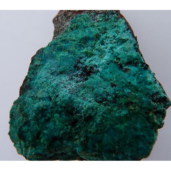 Chrysocolla