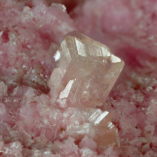 Axinite-(Mn) On Rhodonite