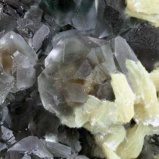 Muscovite On Fluorite