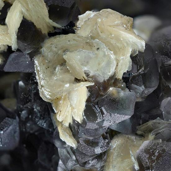 Muscovite On Fluorite