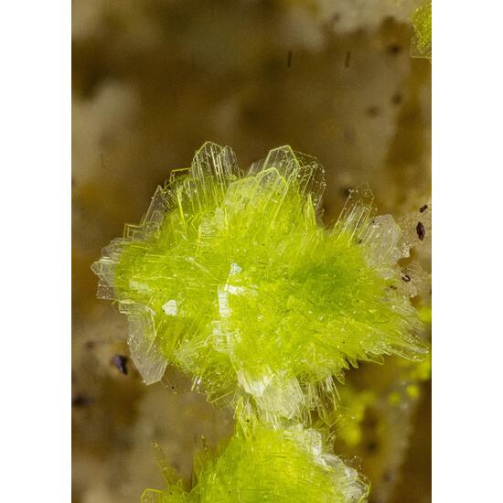 Carlhintzeite & Schubnelite