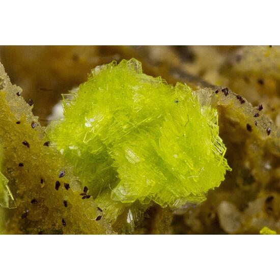 Carlhintzeite & Schubnelite