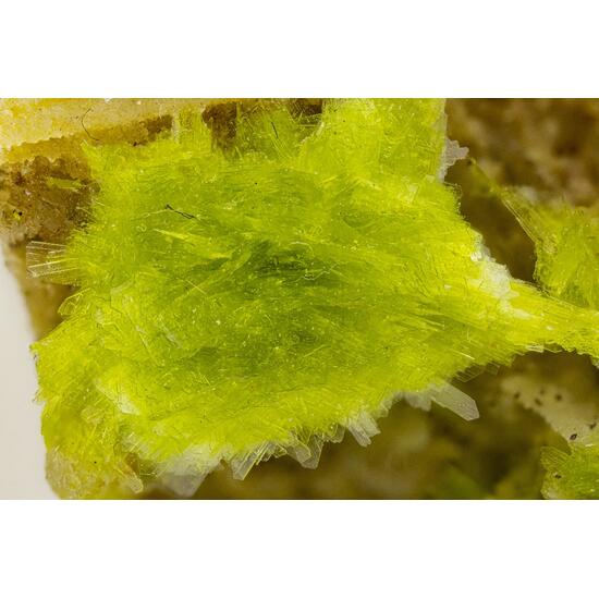 Carlhintzeite & Schubnelite