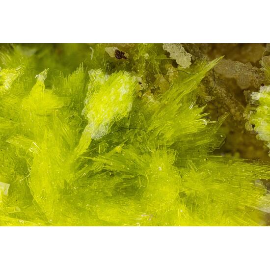 Carlhintzeite & Schubnelite