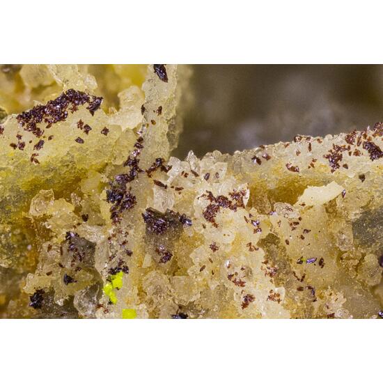 Carlhintzeite & Schubnelite