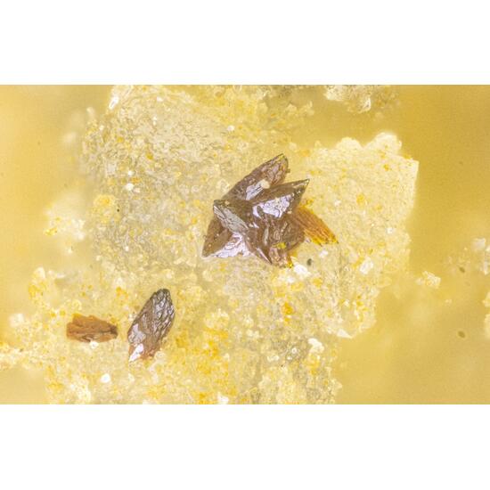 Carlhintzeite & Schubnelite