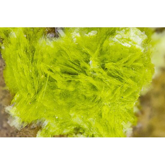 Carlhintzeite & Schubnelite