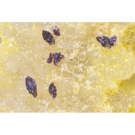 Carlhintzeite & Schubnelite