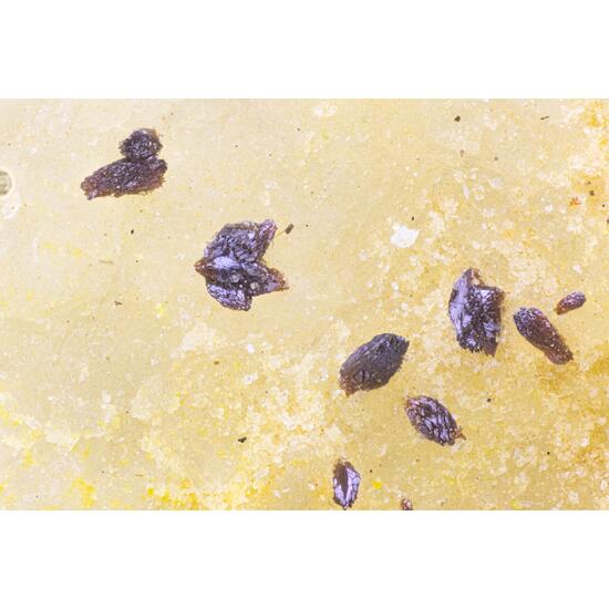 Carlhintzeite & Schubnelite