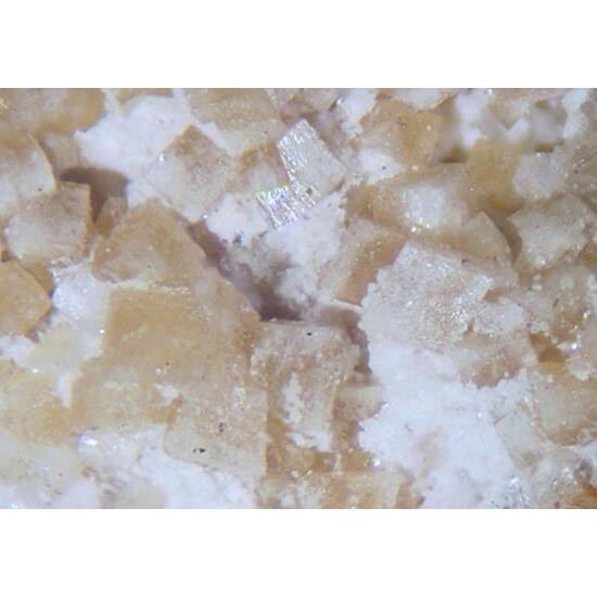 Radian Barite Var Hokutolite