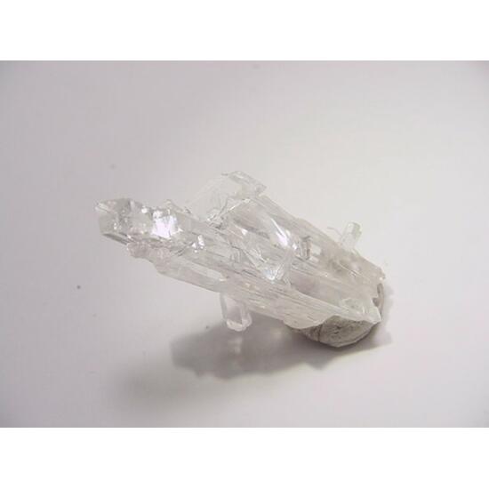 Nifontovite