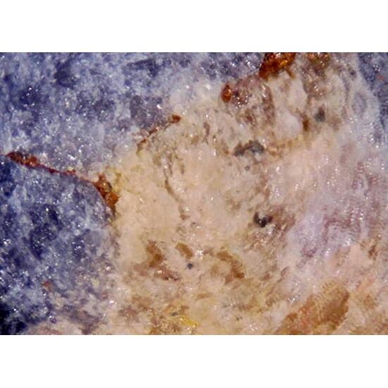 Burbankite & Sodalite