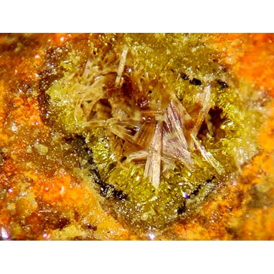 Wölsendorfite Rutherfordine & Uranophane