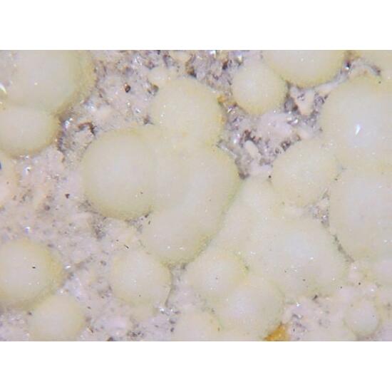 Planerite & Wavellite