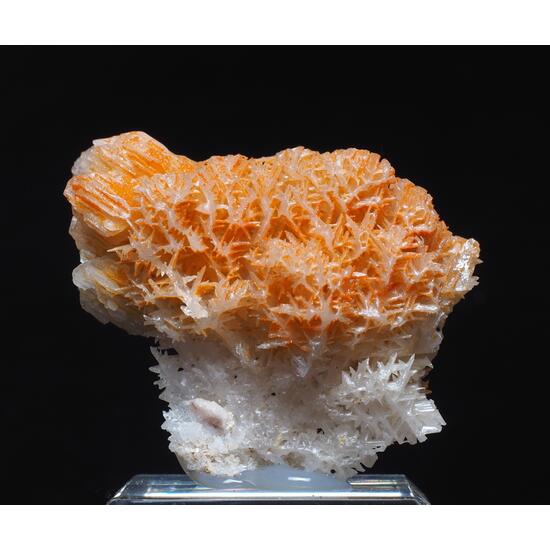 Cerussite & Mimetite